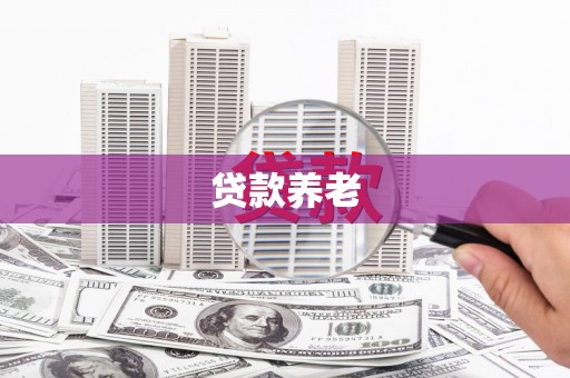 凌海贷款养老