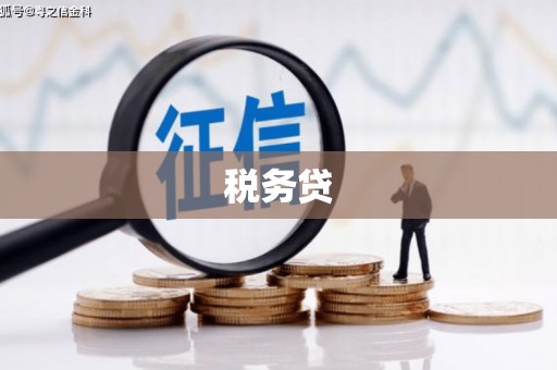 凌海税务贷
