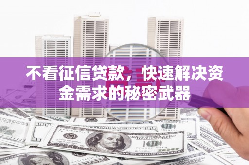 凌海不看征信贷款，快速解决资金需求的秘密武器