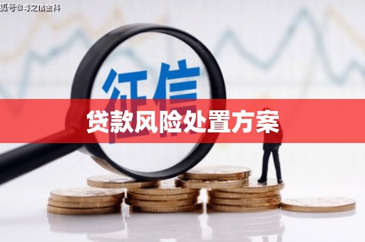 凌海贷款风险处置方案