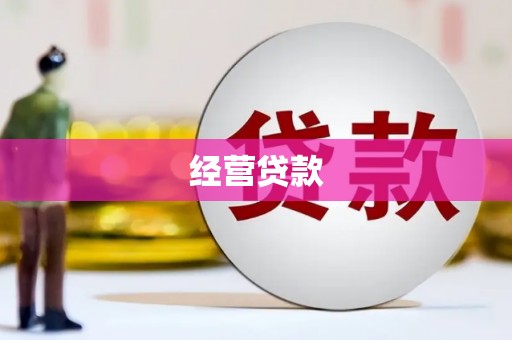 凌海经营贷款