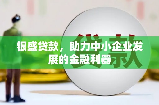 凌海银盛贷款，助力中小企业发展的金融利器