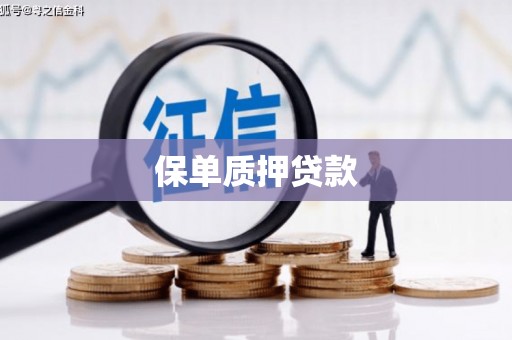 凌海保单质押贷款