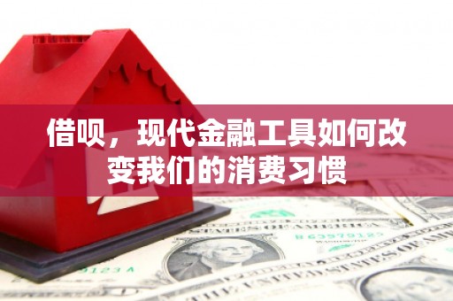 凌海借呗，现代金融工具如何改变我们的消费习惯