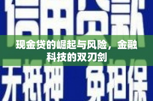 凌海现金贷的崛起与风险，金融科技的双刃剑