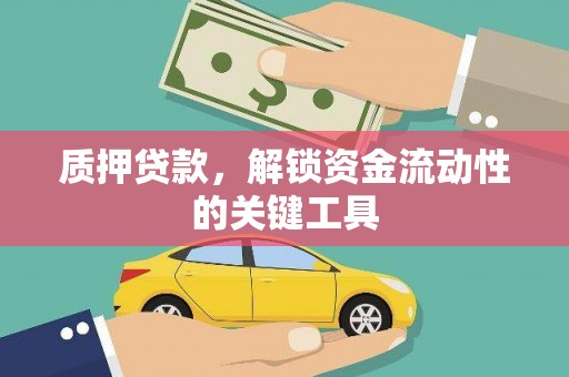 凌海质押贷款，解锁资金流动性的关键工具