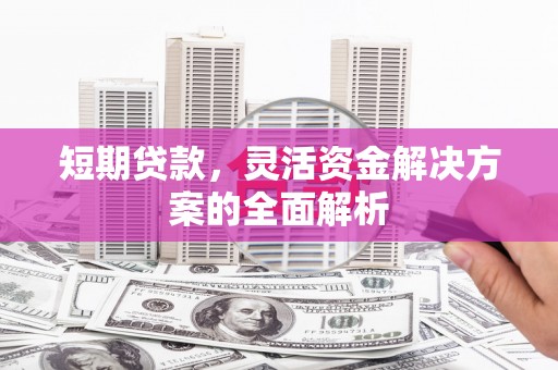 凌海短期贷款，灵活资金解决方案的全面解析