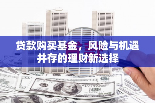 凌海贷款购买基金，风险与机遇并存的理财新选择