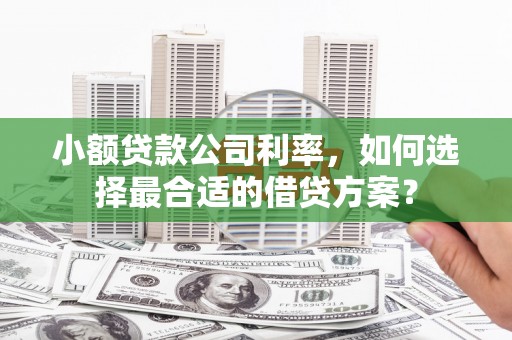 凌海小额贷款公司利率，如何选择最合适的借贷方案？
