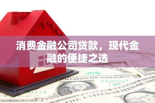 凌海消费金融公司贷款，现代金融的便捷之选