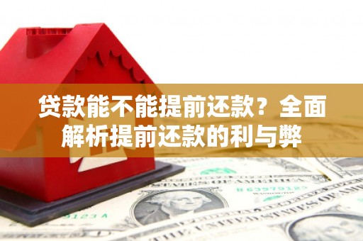 凌海贷款能不能提前还款？全面解析提前还款的利与弊
