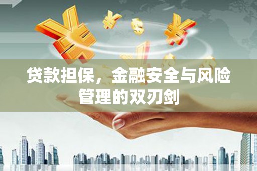 凌海贷款担保，金融安全与风险管理的双刃剑