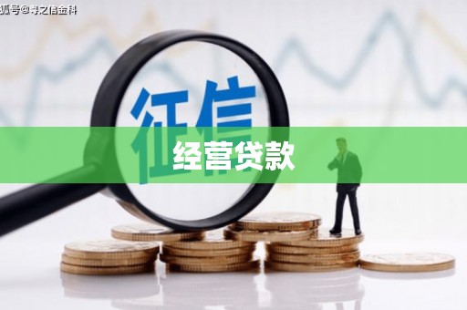 凌海经营贷款
