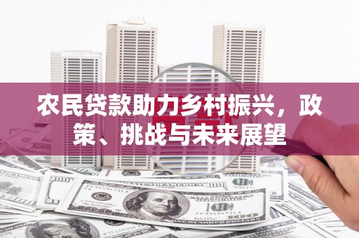 凌海农民贷款助力乡村振兴，政策、挑战与未来展望