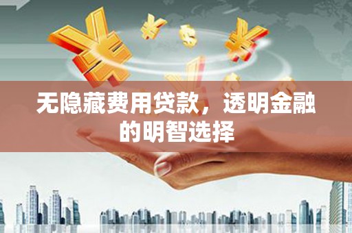 凌海无隐藏费用贷款，透明金融的明智选择