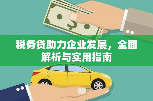 凌海税务贷助力企业发展，全面解析与实用指南