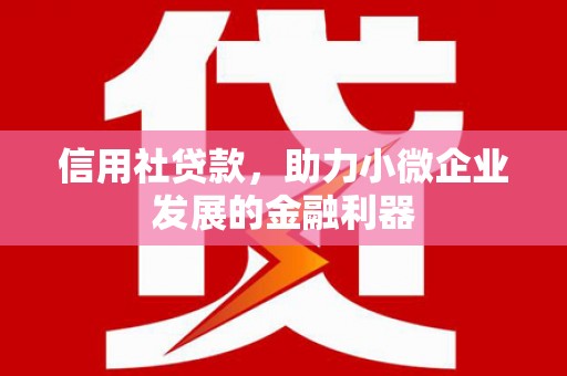 凌海信用社贷款，助力小微企业发展的金融利器