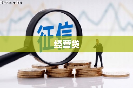 凌海经营贷