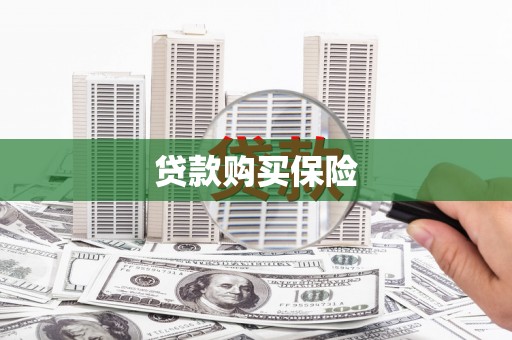 凌海贷款购买保险