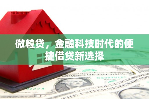 凌海微粒贷，金融科技时代的便捷借贷新选择