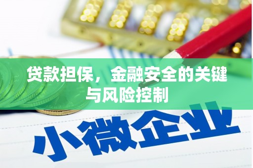 凌海贷款担保，金融安全的关键与风险控制