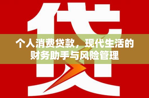 凌海个人消费贷款，现代生活的财务助手与风险管理