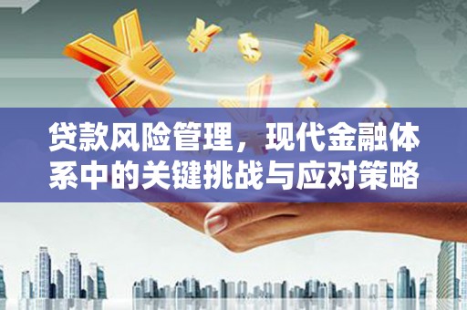 凌海贷款风险管理，现代金融体系中的关键挑战与应对策略