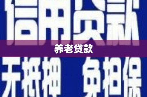 凌海养老贷款