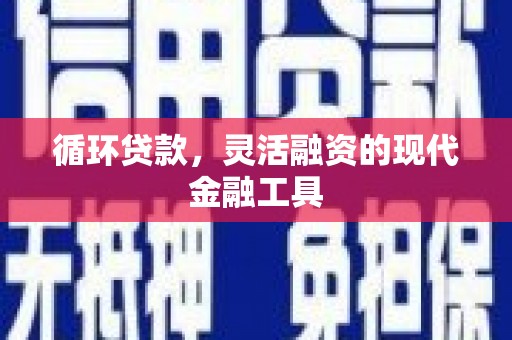 凌海循环贷款，灵活融资的现代金融工具
