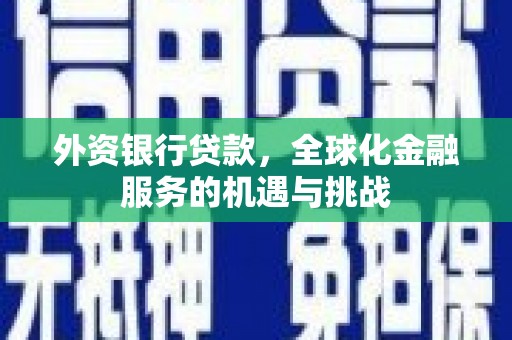 凌海外资银行贷款，全球化金融服务的机遇与挑战