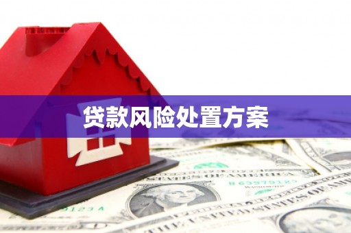 凌海贷款风险处置方案