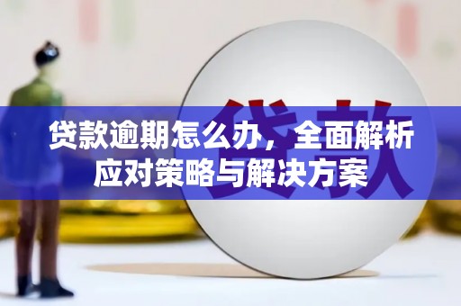 凌海贷款逾期怎么办，全面解析应对策略与解决方案