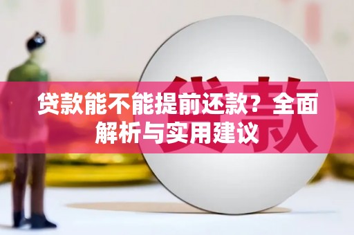 凌海贷款能不能提前还款？全面解析与实用建议