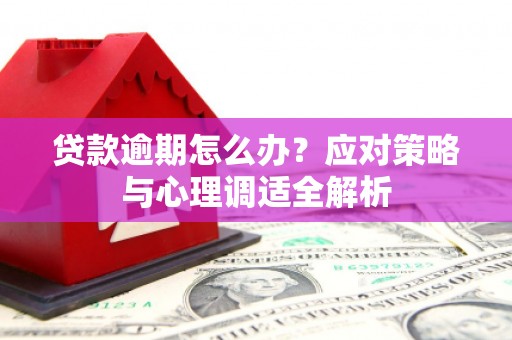 凌海贷款逾期怎么办？应对策略与心理调适全解析