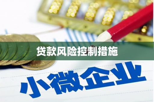 凌海贷款风险控制措施