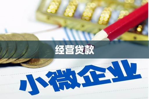 凌海经营贷款
